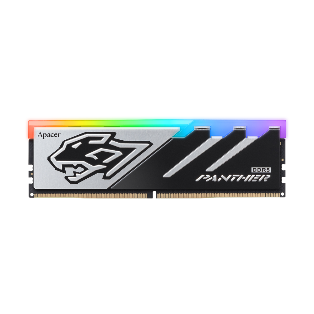 Panther_RGB_DDR5_01