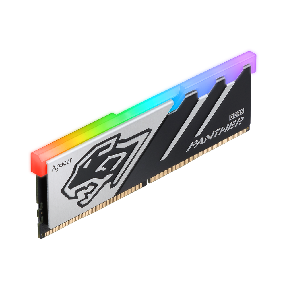 Panther_RGB_DDR5_02